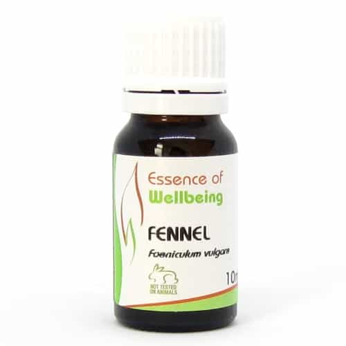Fennel Essential Oil