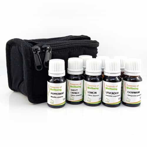 Aromatherapy Travel Bag Kit